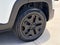 2017 Jeep Renegade Deserthawk